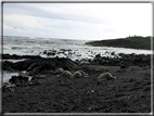 foto Parco nazionale Vulcani delle Hawaii